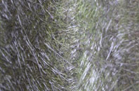 Coubister fibreglass roof work