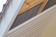 rated Coubister soffit repair companies